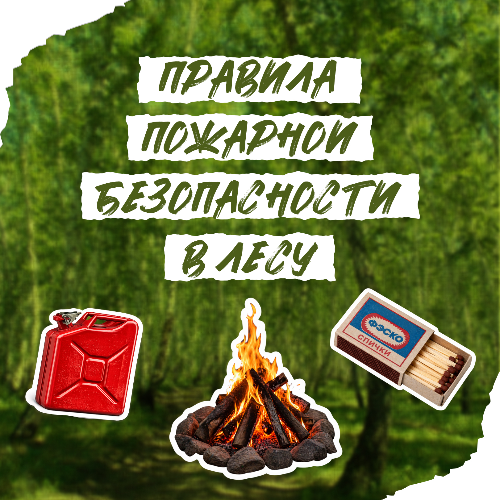 Правила пожарной безопасности в лесу.